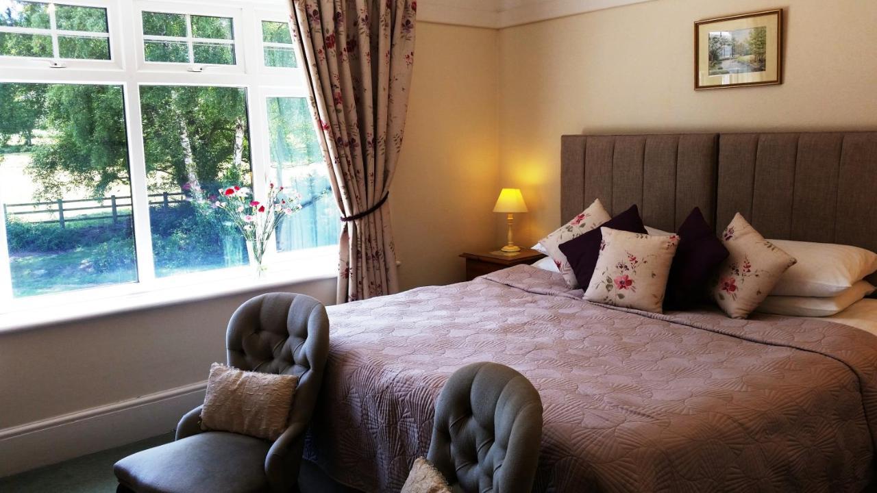 Whitemoor House B&B リンドハースト エクステリア 写真